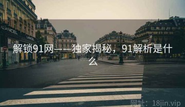 解锁91网——独家揭秘，91解析是什么