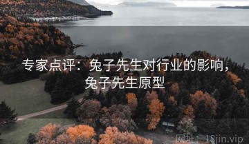 专家点评：兔子先生对行业的影响，兔子先生原型