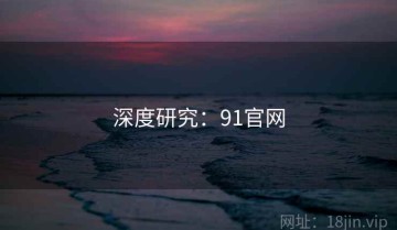 深度研究：91官网