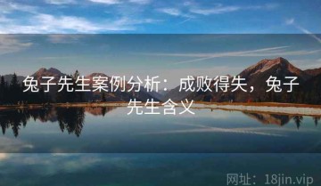 兔子先生案例分析：成败得失，兔子先生含义