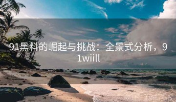 91黑料的崛起与挑战：全景式分析，91wiill