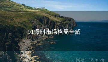 91爆料市场格局全解