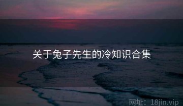 关于兔子先生的冷知识合集