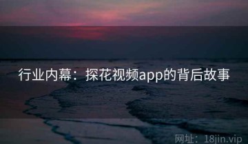 行业内幕：探花视频app的背后故事