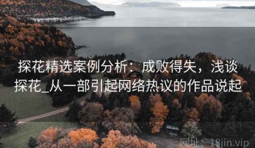 探花精选案例分析：成败得失，浅谈探花_从一部引起网络热议的作品说起