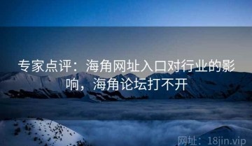 专家点评：海角网址入口对行业的影响，海角论坛打不开