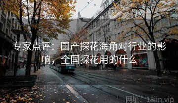 专家点评：国产探花海角对行业的影响，全国探花用的什么