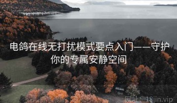 电鸽在线无打扰模式要点入门——守护你的专属安静空间