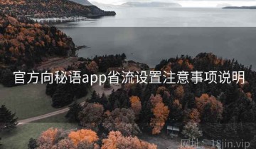 官方向秘语app省流设置注意事项说明