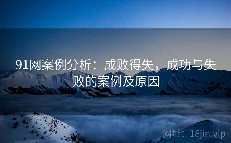 91网案例分析：成败得失，成功与失败的案例及原因