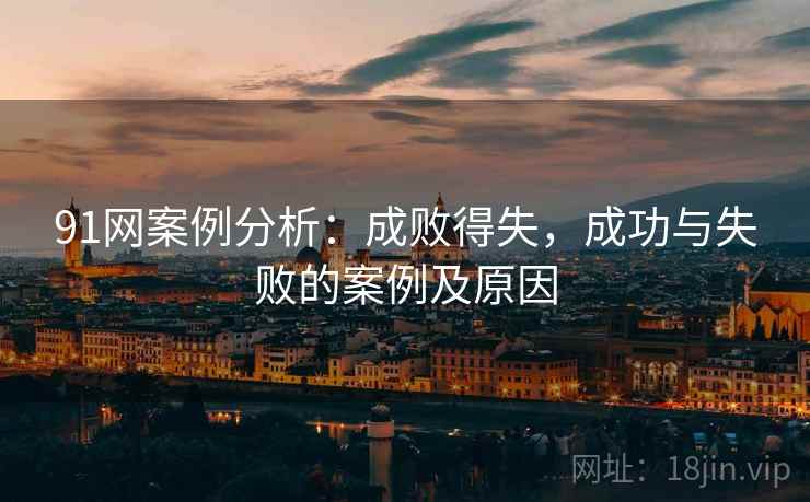 91网案例分析：成败得失，成功与失败的案例及原因