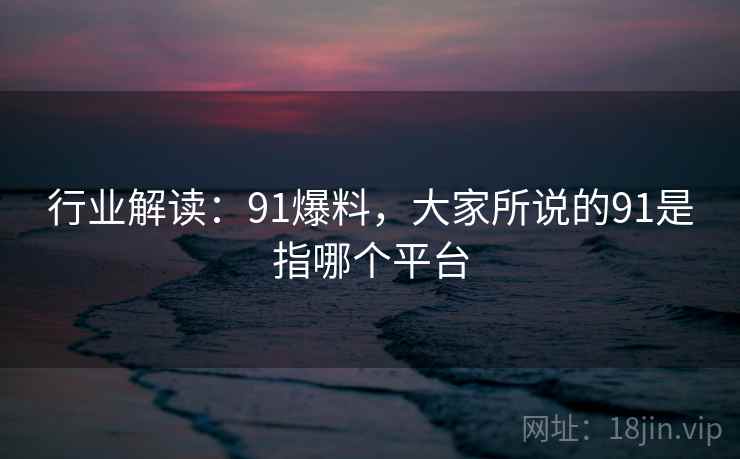 行业解读：91爆料，大家所说的91是指哪个平台