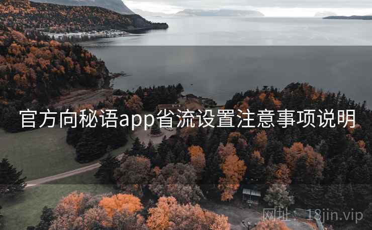 官方向秘语app省流设置注意事项说明