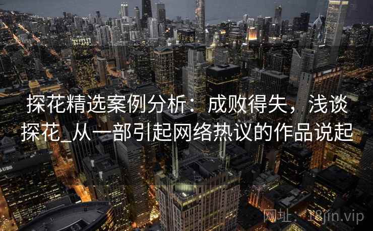 探花精选案例分析：成败得失，浅谈探花_从一部引起网络热议的作品说起