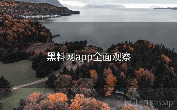 黑料网app全面观察