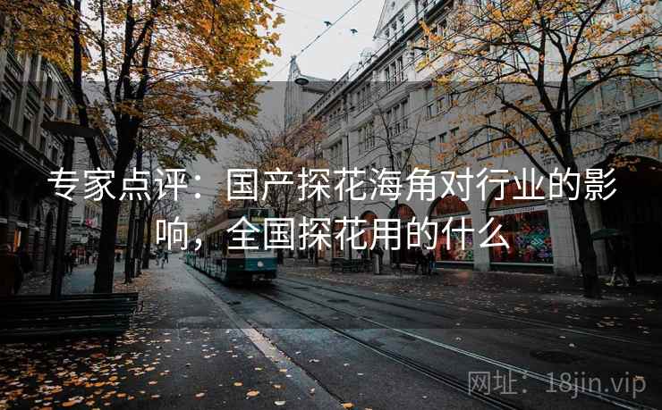 专家点评:国产探花海角对行业的影响,全国探花用的什么 专家点评:国产探花海角对行业的影响,全国探花用的什么