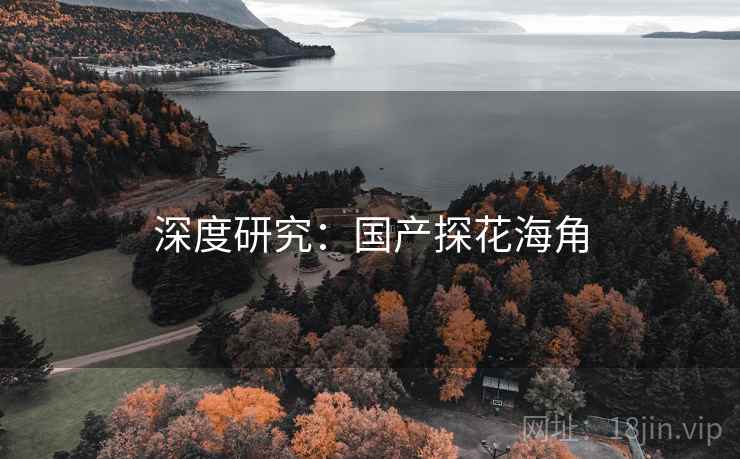 深度研究:国产探花海角 深度研究:国产探花海角